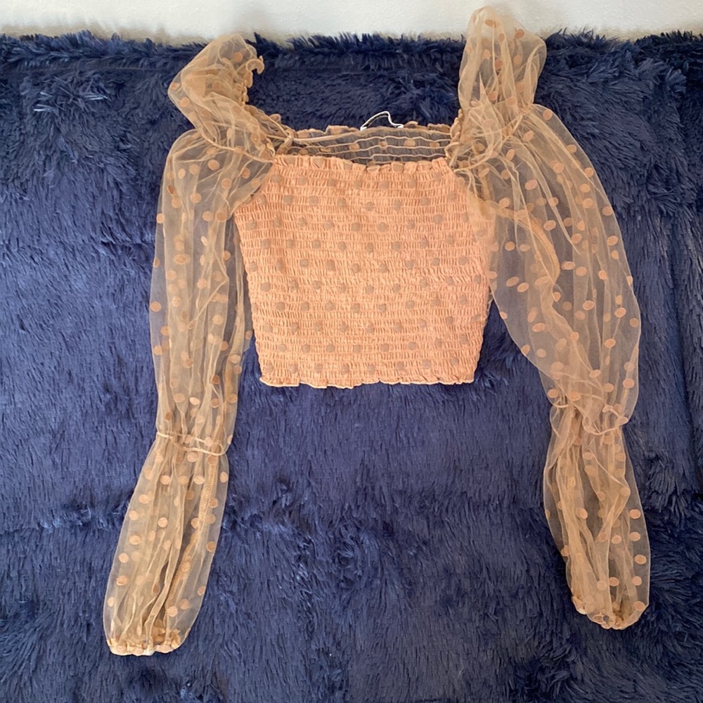 Sheer Sleeved tube Top
